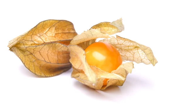 Physalis — Fotografia de Stock