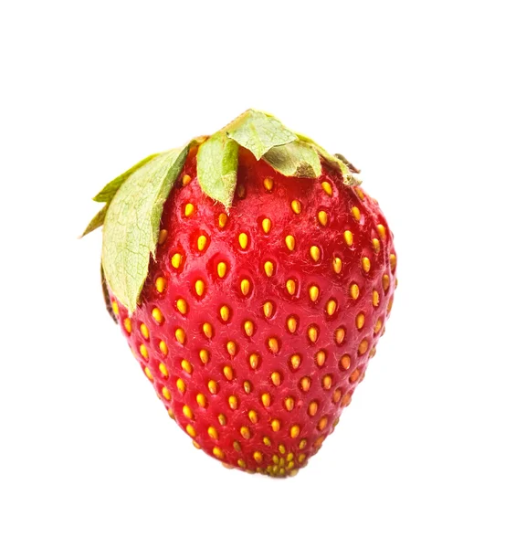 Fragola — Foto Stock