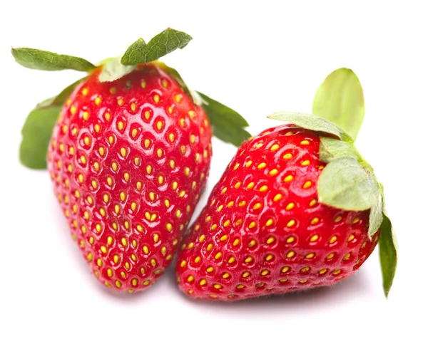 Strawberry — Stok Foto