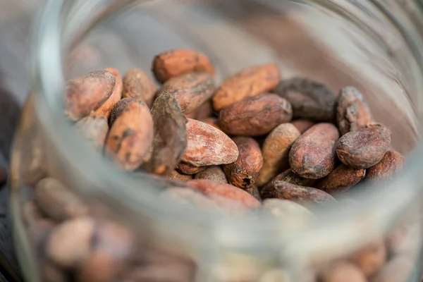 Grãos de cacau crus — Fotografia de Stock