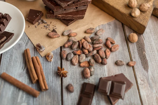 Fagioli di cacao crudi — Foto Stock