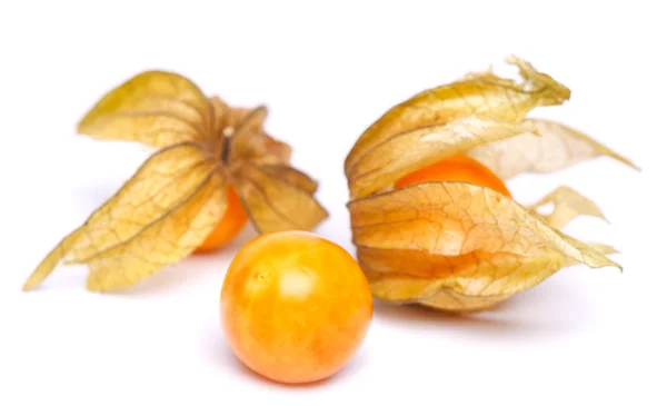 The ripe physalis — Stock Photo, Image