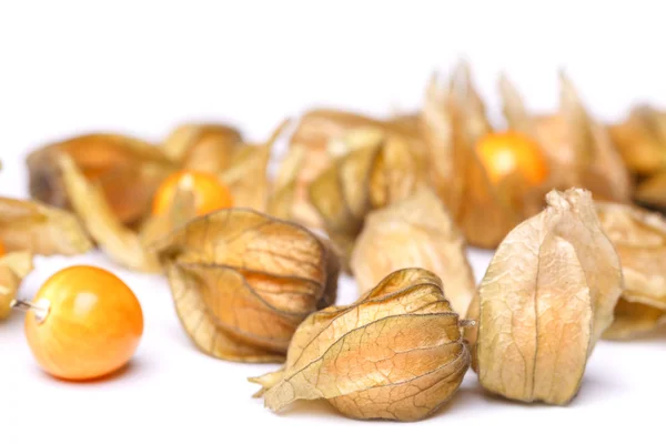 The ripe physalis Royalty Free Stock Images