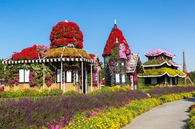 dubai mucize bahçesi