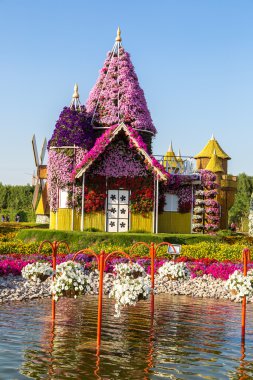 dubai mucize bahçesi