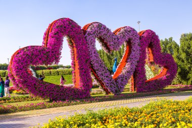 dubai mucize bahçesi