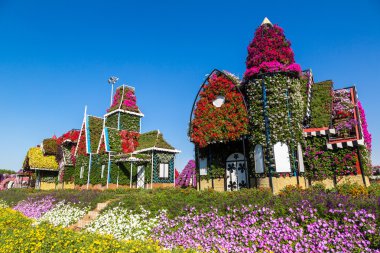 dubai mucize bahçesi