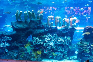 Dubai Mall alışveriş merkezinin en büyük alışveriş merkezi