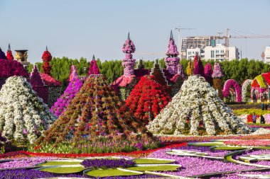 dubai mucize bahçesi