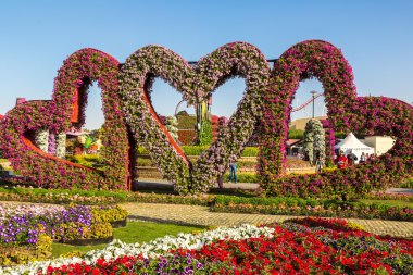 dubai mucize bahçesi