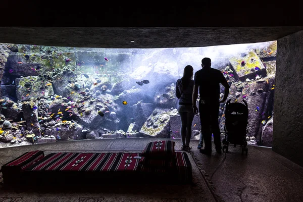 Stort akvarium på hotell Atlantis i Dubai – stockfoto