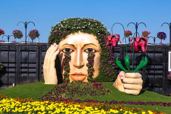 Dubai miracle garden — Stock Photo, Image