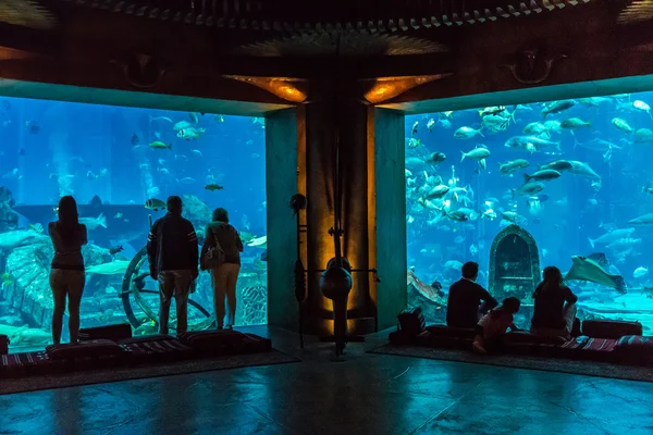 在迪拜的酒店亚特兰蒂斯的大型水族箱 — 图库照片