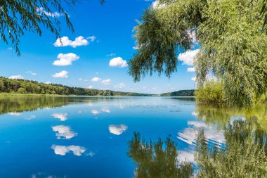 Sakin gölet ve su bitkileri