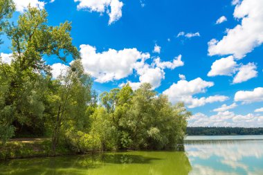 Sakin gölet ve su bitkileri