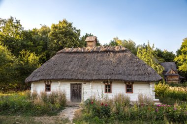 Bir yaz günü müzede Pirogovo