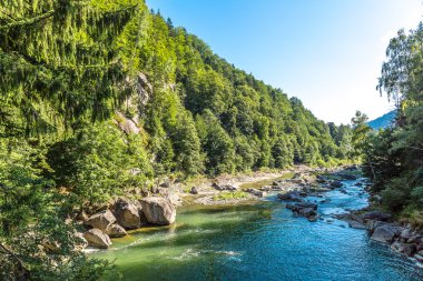 Dağ nehir Prut Yaremche içinde