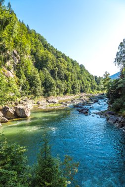 Dağ nehir Prut Yaremche içinde
