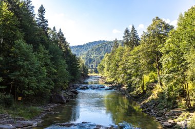Dağ nehir Prut Yaremche içinde