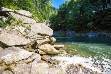 Dağ nehir Prut ve şelaleler Yaremche, Karpatlar, Ukrayna