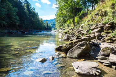 Dağ nehir Prut Yaremche içinde