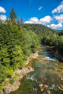 Dağ nehir Prut Yaremche içinde