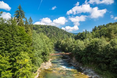 Dağ nehir Prut Yaremche içinde