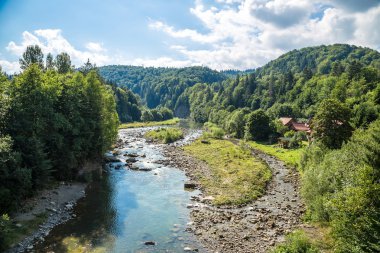 Dağ nehir Prut Yaremche, Karpatlar, Ukrayna