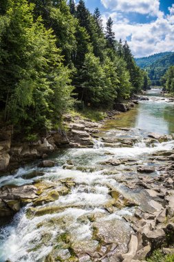 Dağ nehir Prut Yaremche içinde