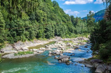Dağ nehir Prut Yaremche içinde