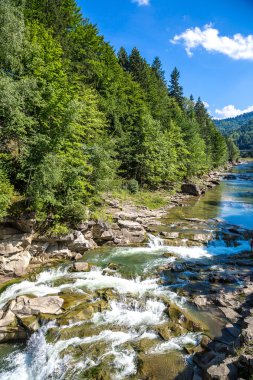 Dağ nehir Prut Yaremche içinde