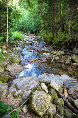 Yaremche dağın Nehri