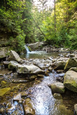Yaremche dağın Nehri