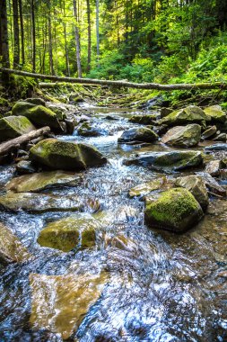 Yaremche dağın Nehri
