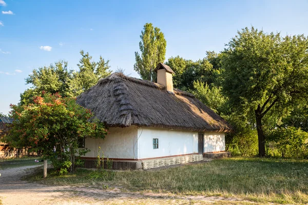 Bir yaz günü müzede Pirogovo