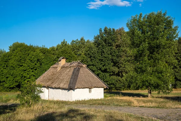 Pirogovo museum in a summer day — Stock Photo, Image