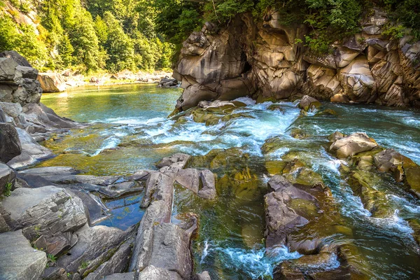 Dağ nehir Prut Yaremche içinde