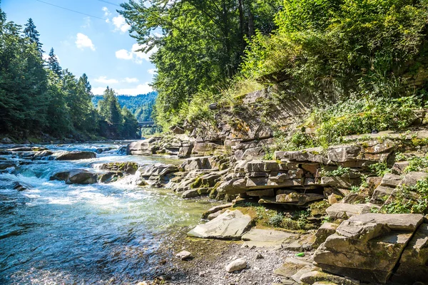 Górskie rzeki Prut w Jaremcze — Zdjęcie stockowe