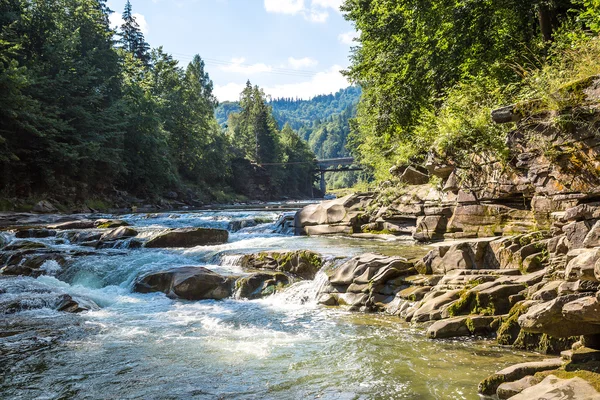 Rivière de montagne Prut à Yaremche — Photo