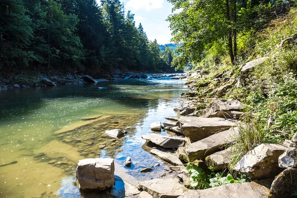 Río Montaña Prut Cascadas Yaremche Cárpatos Ucrania —  Fotos de Stock