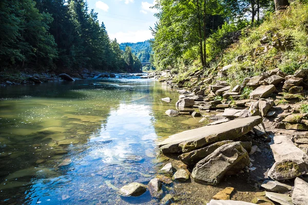 Dağ nehir Prut Yaremche, Karpatlar, Ukrayna