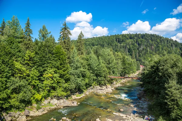 Dağ nehir Prut Yaremche içinde