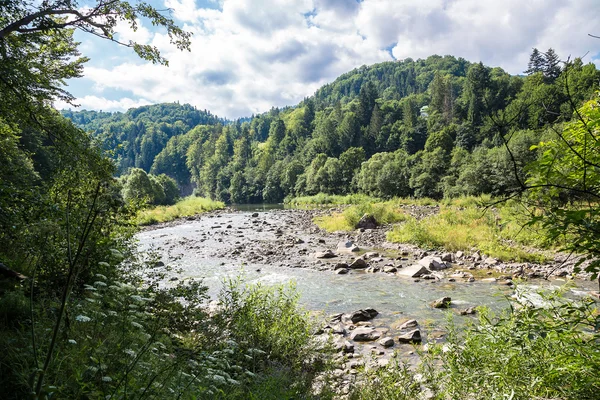 山区河流普鲁特河在 Yaremche — 图库照片