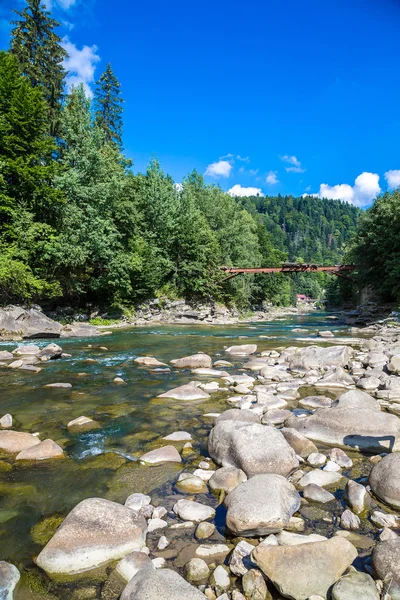Dağ nehir Prut Yaremche içinde