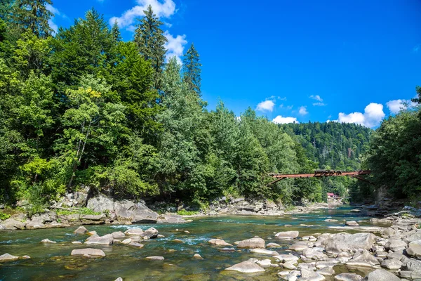 Dağ nehir Prut Yaremche içinde