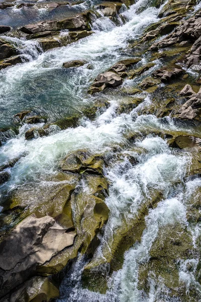 Mountain river Prut in Yaremche — Stock Photo, Image