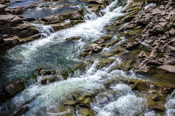 Mountain river Prut in Yaremche — Stock Photo, Image