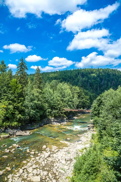 Rivière de montagne Prut à Yaremche — Photo