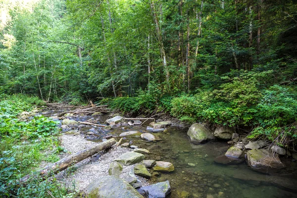 Mountain River Yaremche Carpathians Ukraine — Stock Photo, Image