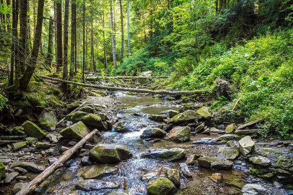 Mountain river in Yaremche — Stock Photo, Image